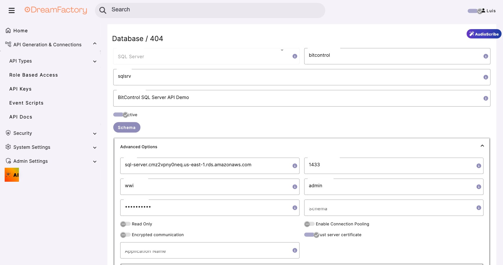 SQL Server service configuration in DreamFactory showing connection details